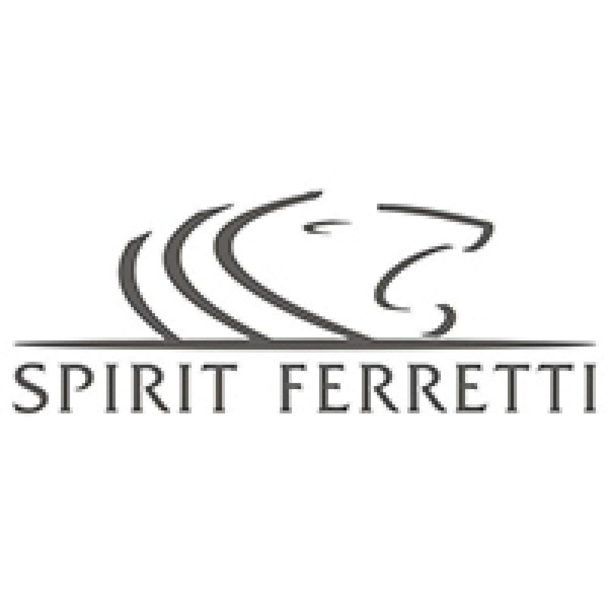 Aldem Boat Solutions- Spirit Ferretti